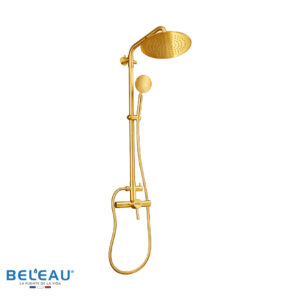 DUCHA MONOMANDO ESQUELETO CON REGADERA RONDE GOLD
